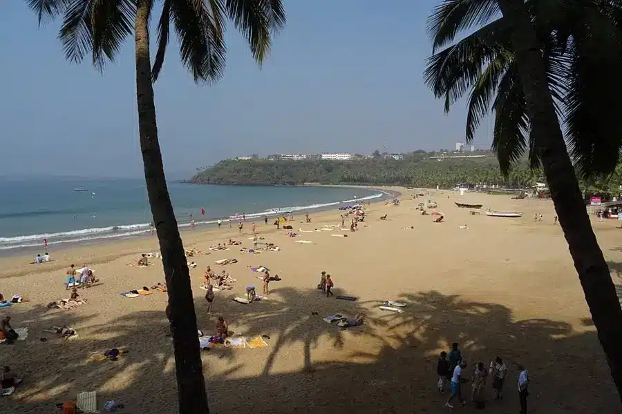 A sandy beach with people sunbathing and palm trees framing the view of the shoreline and distant hills with buildings across the bay.