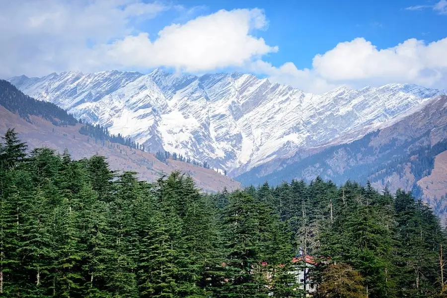 Snow-capped mountains rise behind a dense evergreen forest with a small house at the trees' edge.