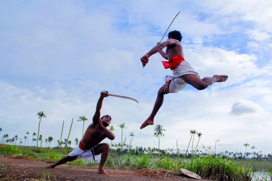 Two men sword fighting outdoors; one leaps mid‑air while the other lunges from a low stance.