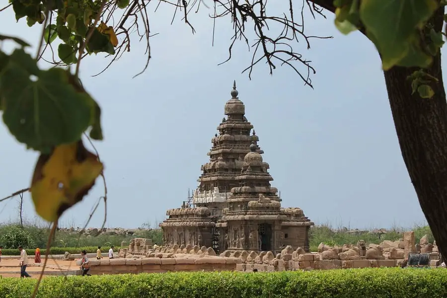 Ancient stone temple framed by tree branches, with visitors nearby on a grassy area.